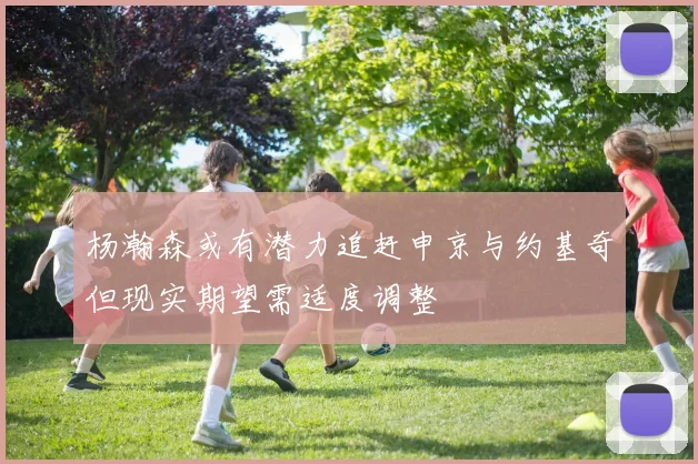 杨瀚森或有潜力追赶申京与约基奇但现实期望需适度调整